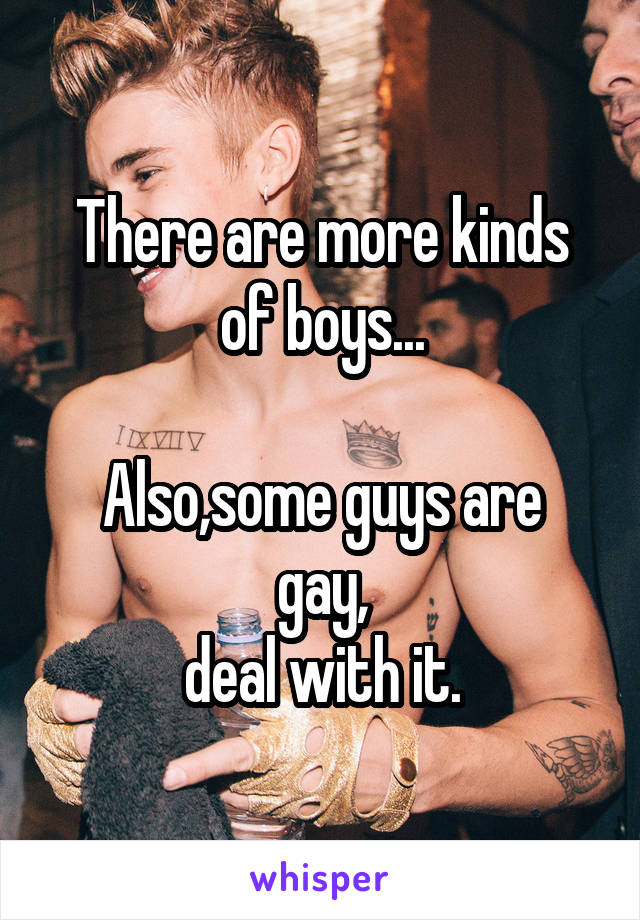 There are more kinds of boys...

Also,some guys are gay,
deal with it.