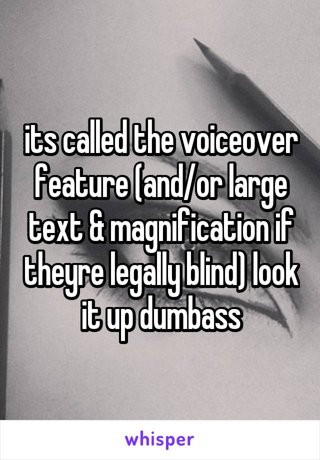 its called the voiceover feature (and/or large text & magnification if theyre legally blind) look it up dumbass