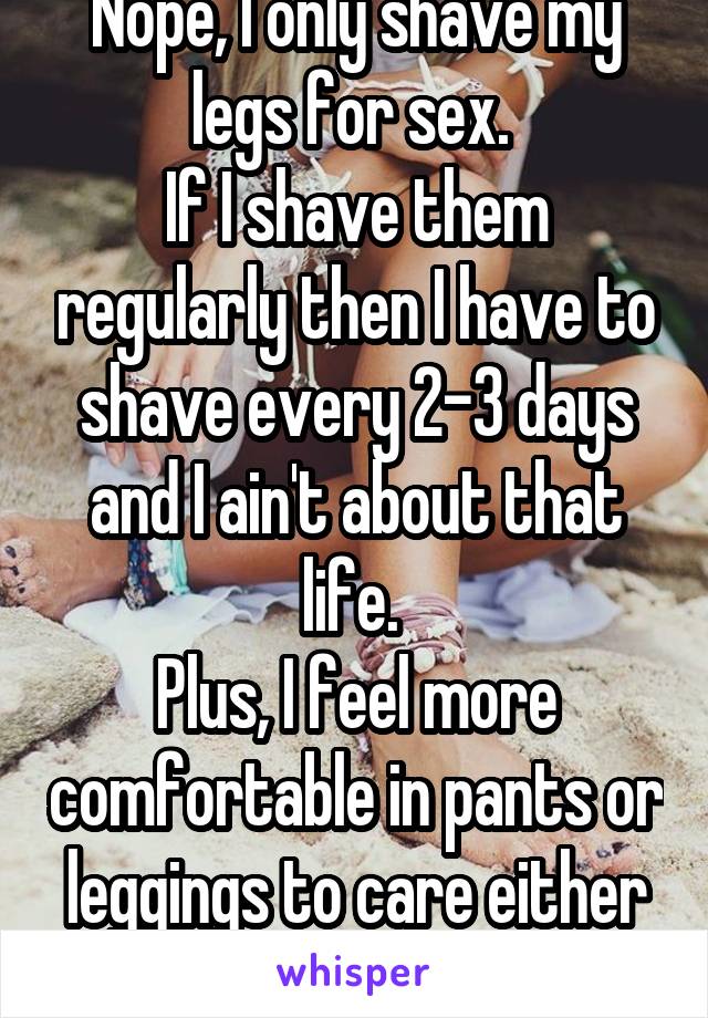 Nope, I only shave my legs for sex. 
If I shave them regularly then I have to shave every 2-3 days and I ain't about that life. 
Plus, I feel more comfortable in pants or leggings to care either way. 