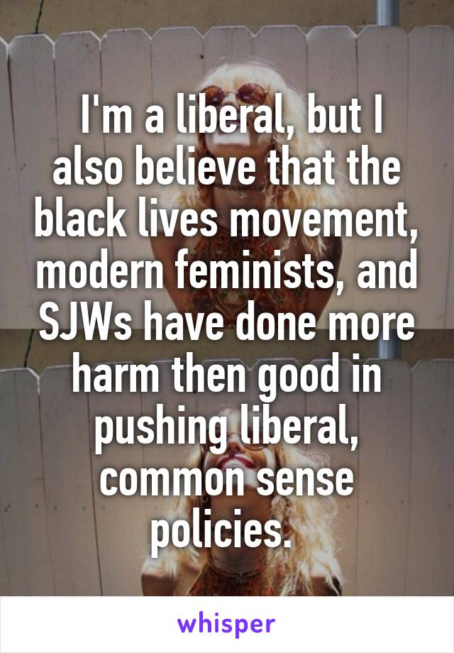  I'm a liberal, but I also believe that the black lives movement, modern feminists, and SJWs have done more harm then good in pushing liberal, common sense policies. 