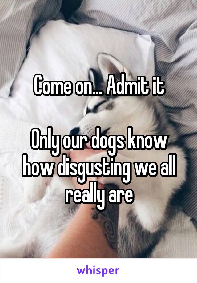 Come on... Admit it

Only our dogs know how disgusting we all really are