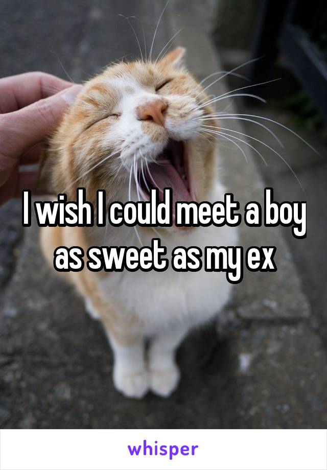 I wish I could meet a boy as sweet as my ex