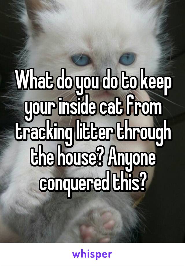 What do you do to keep your inside cat from tracking litter through the house? Anyone conquered this?