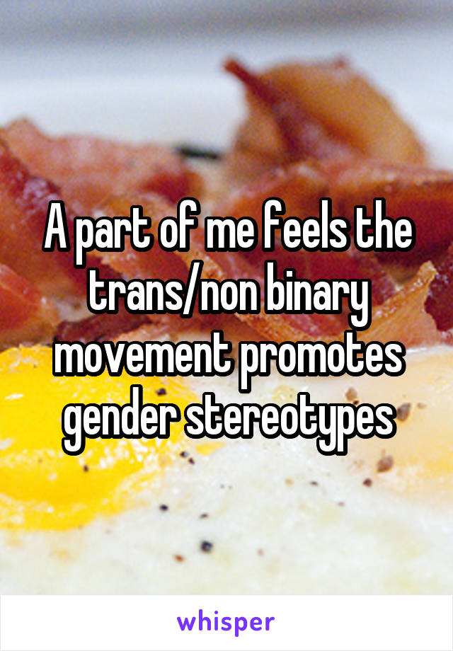 A part of me feels the trans/non binary movement promotes gender stereotypes