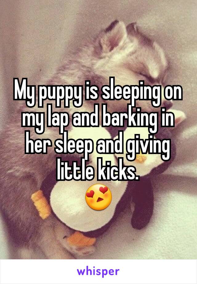 My puppy is sleeping on my lap and barking in her sleep and giving little kicks.
😍