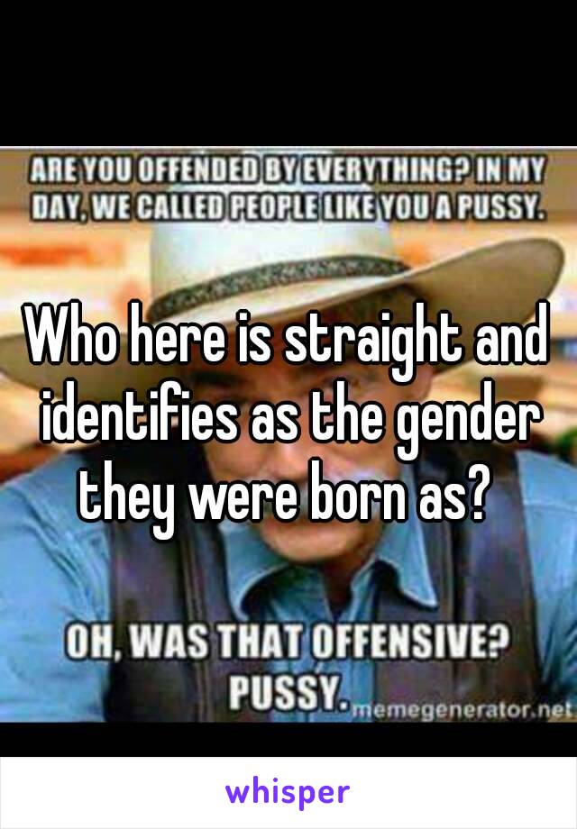 Who here is straight and identifies as the gender they were born as? 