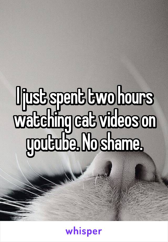 I just spent two hours watching cat videos on youtube. No shame.