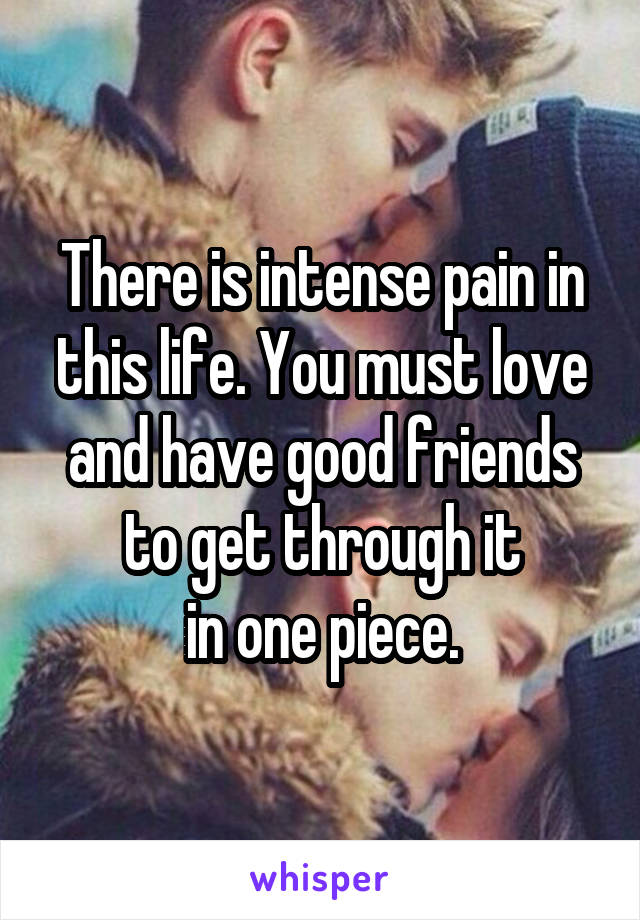 There is intense pain in this life. You must love and have good friends
to get through it
in one piece.