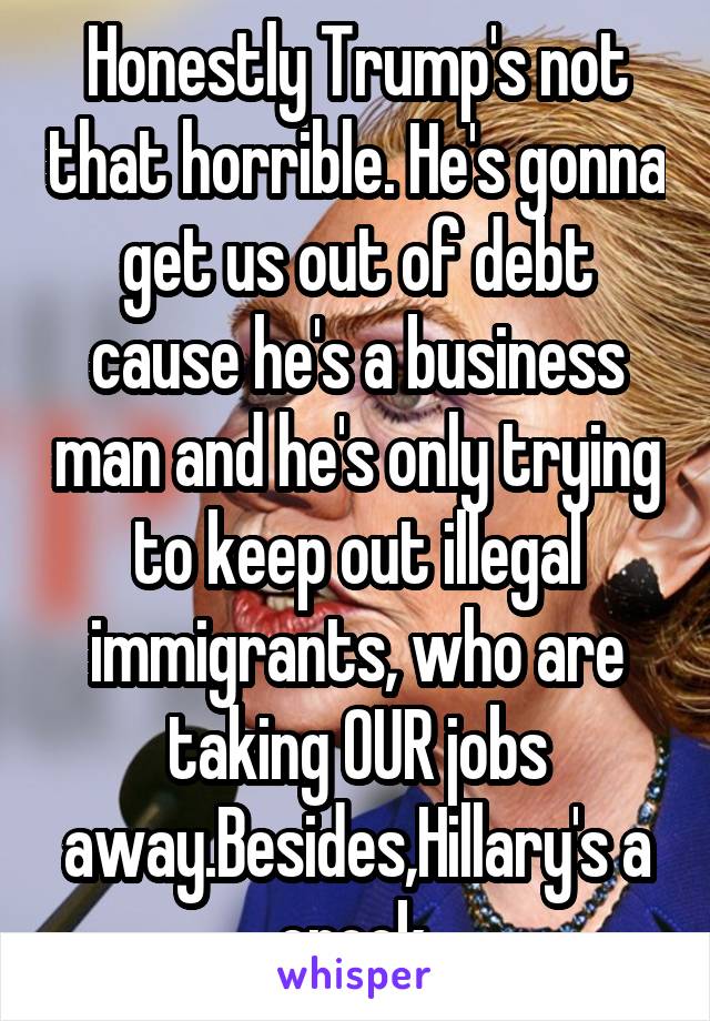 Honestly Trump's not that horrible. He's gonna get us out of debt cause he's a business man and he's only trying to keep out illegal immigrants, who are taking OUR jobs away.Besides,Hillary's a crook.