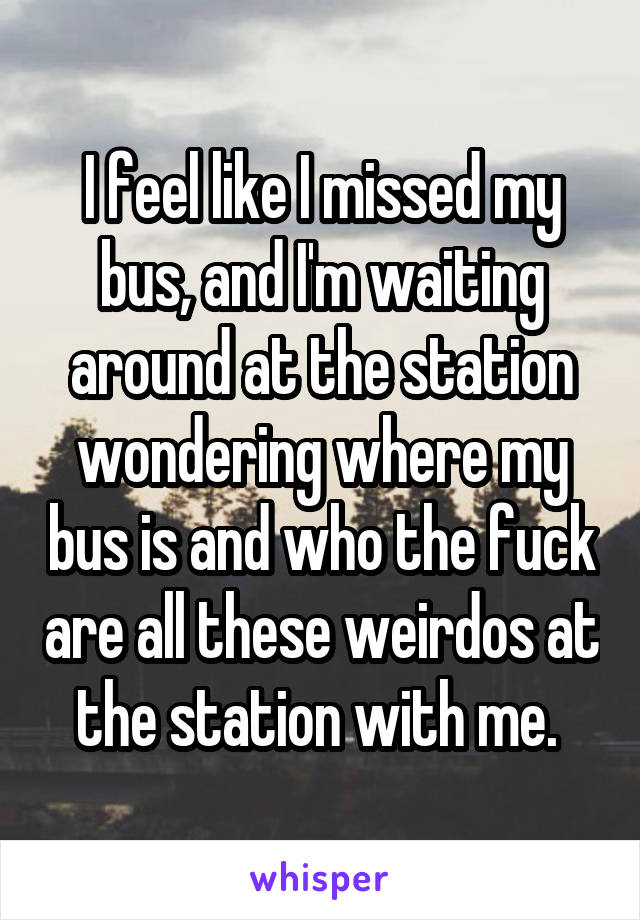 I feel like I missed my bus, and I'm waiting around at the station wondering where my bus is and who the fuck are all these weirdos at the station with me. 