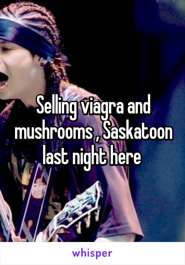 Selling viagra and mushrooms , Saskatoon last night here 