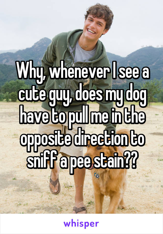 Why, whenever I see a cute guy, does my dog have to pull me in the opposite direction to sniff a pee stain??