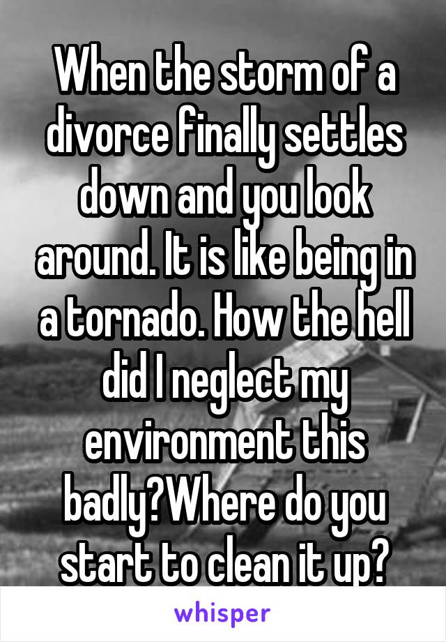 When the storm of a divorce finally settles down and you look around. It is like being in a tornado. How the hell did I neglect my environment this badly?Where do you start to clean it up?