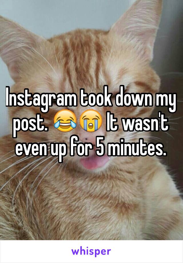 Instagram took down my post. 😂😭 It wasn't even up for 5 minutes.