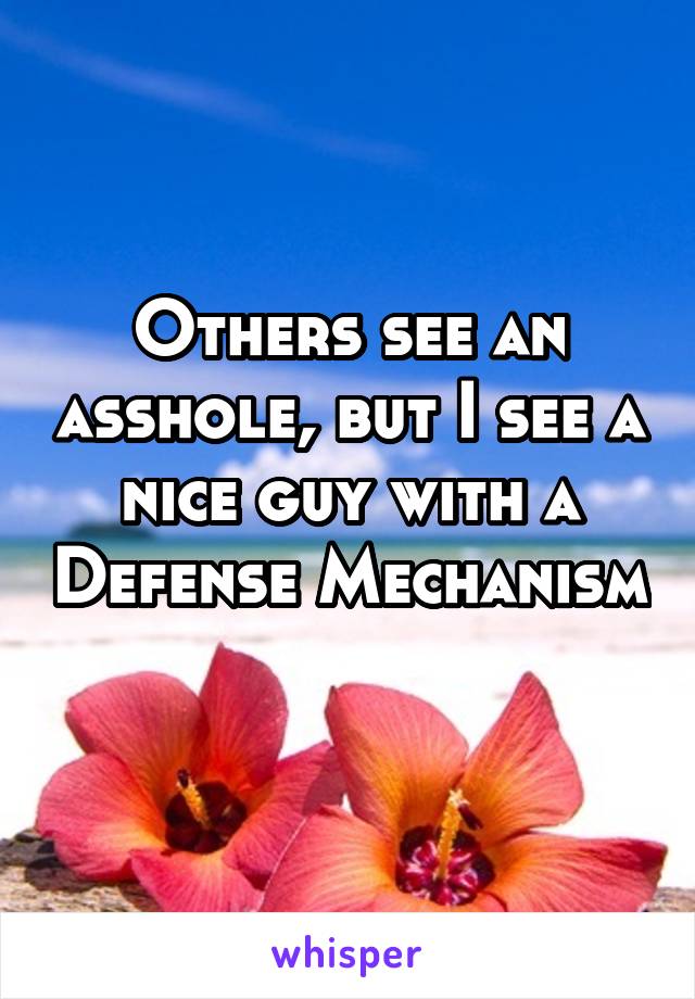 Others see an asshole, but I see a nice guy with a Defense Mechanism 