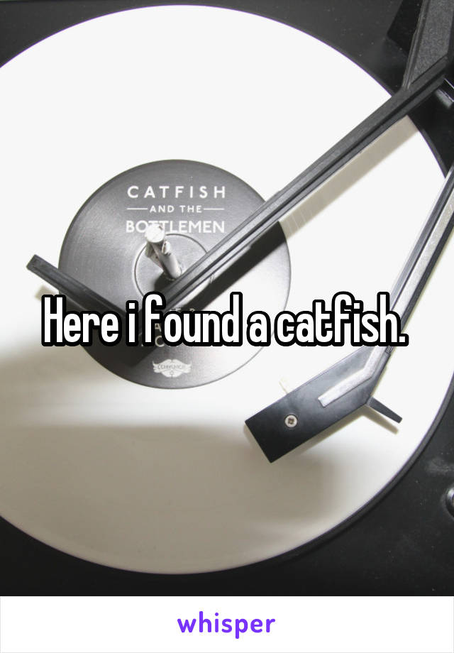 Here i found a catfish. 