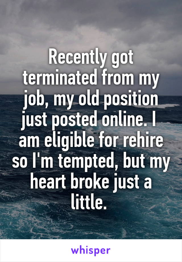 Recently got terminated from my job, my old position just posted online. I 
am eligible for rehire so I'm tempted, but my heart broke just a little. 