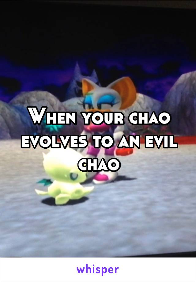 When your chao evolves to an evil chao