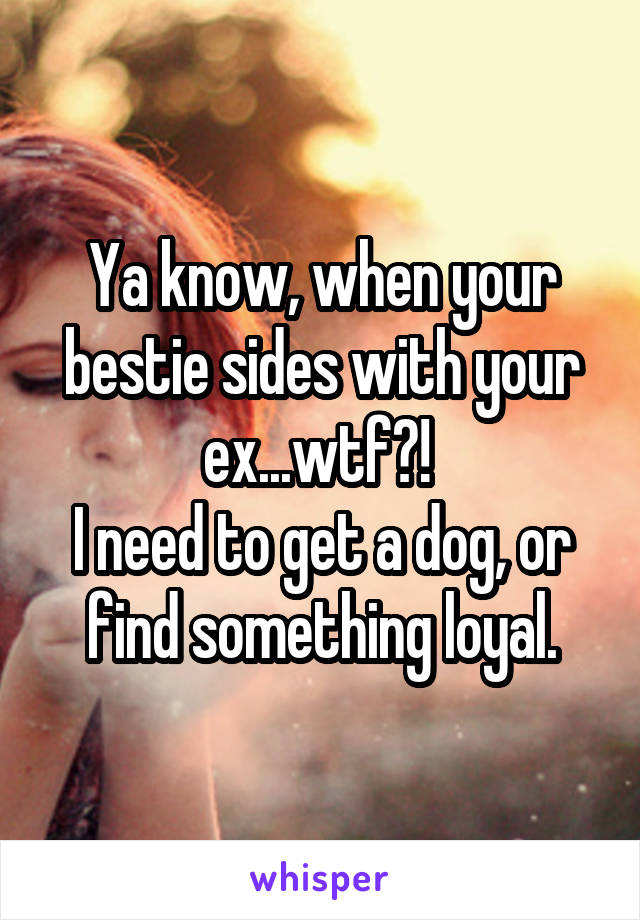 Ya know, when your bestie sides with your ex...wtf?! 
I need to get a dog, or find something loyal.