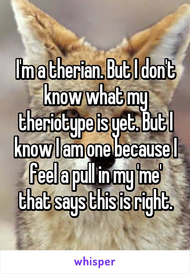 I'm a therian. But I don't know what my theriotype is yet. But I know I am one because I feel a pull in my 'me' that says this is right.