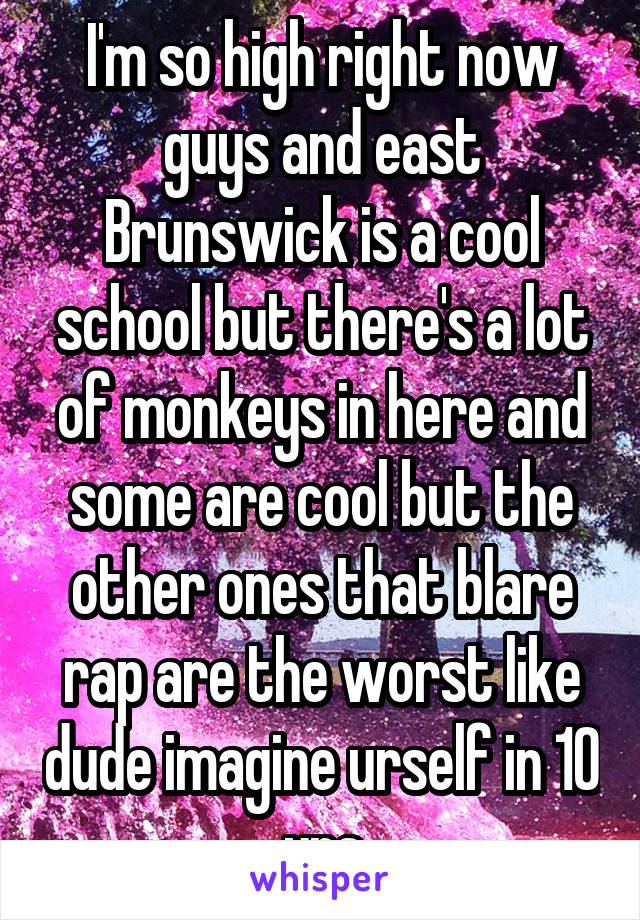 I'm so high right now guys and east Brunswick is a cool school but there's a lot of monkeys in here and some are cool but the other ones that blare rap are the worst like dude imagine urself in 10 yrs