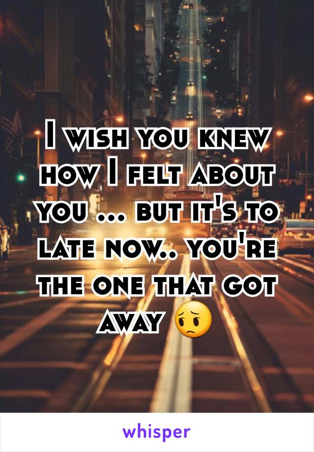 I wish you knew how I felt about you ... but it's to late now.. you're the one that got away 😔