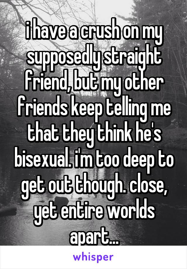 i have a crush on my supposedly straight friend, but my other friends keep telling me that they think he's bisexual. i'm too deep to get out though. close, yet entire worlds apart...