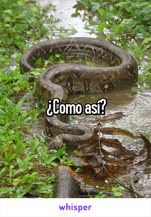 ¿Como así?