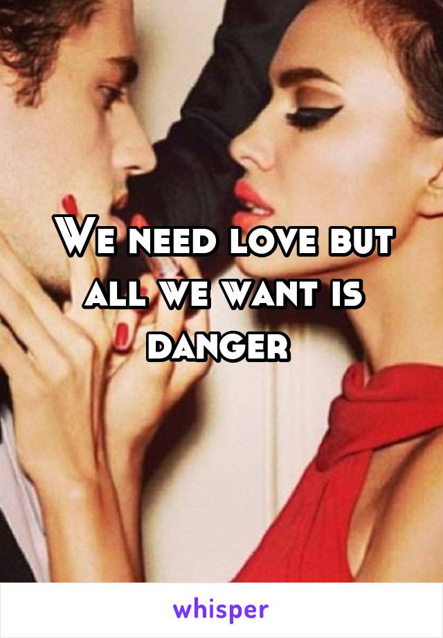 We need love but all we want is danger 
