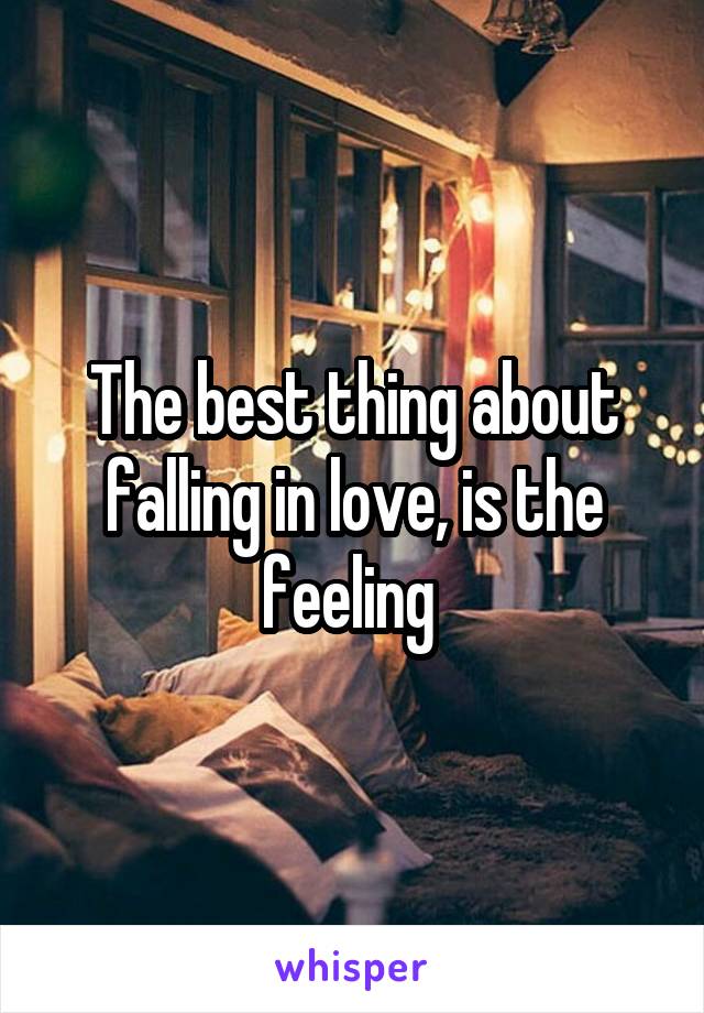 The best thing about falling in love, is the feeling 