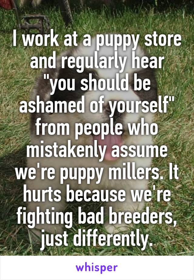 I work at a puppy store and regularly hear "you should be ashamed of yourself" from people who mistakenly assume we're puppy millers. It hurts because we're fighting bad breeders, just differently.