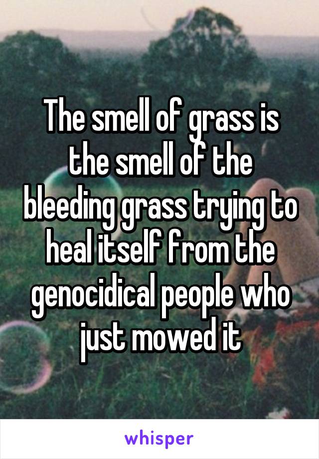 The smell of grass is the smell of the bleeding grass trying to heal itself from the genocidical people who just mowed it