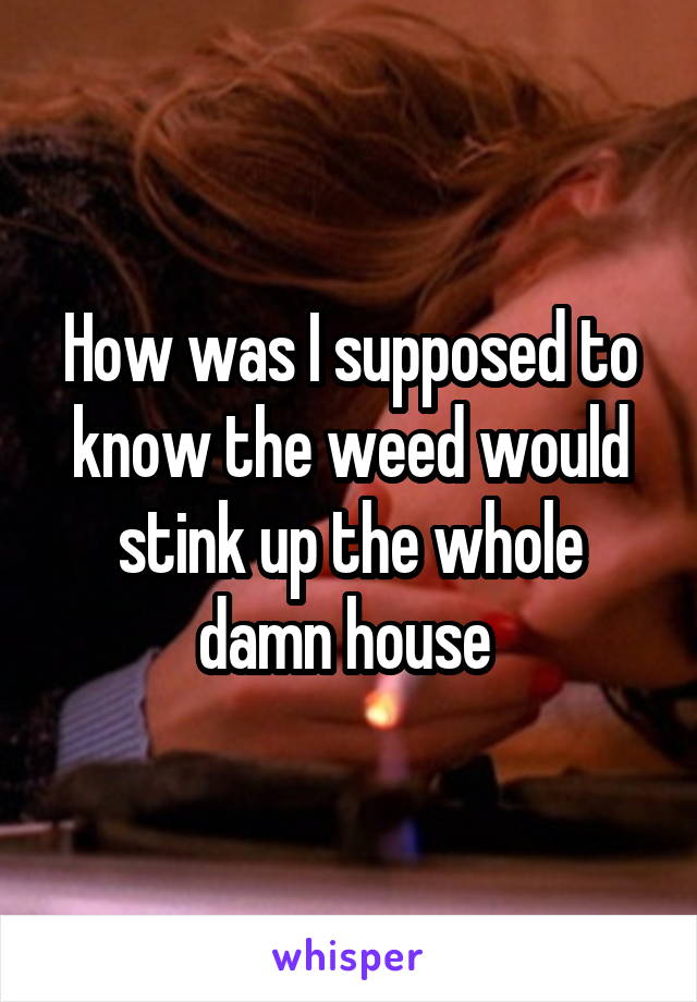 How was I supposed to know the weed would stink up the whole damn house 