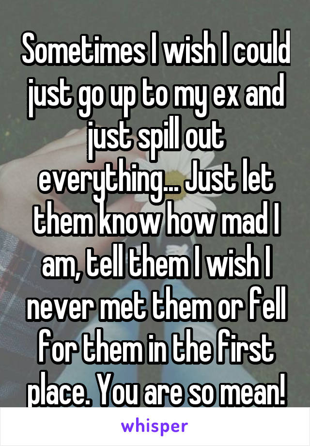 Sometimes I wish I could just go up to my ex and just spill out everything... Just let them know how mad I am, tell them I wish I never met them or fell for them in the first place. You are so mean!