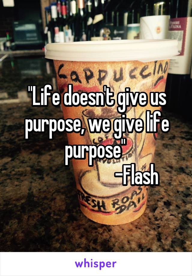 "Life doesn't give us purpose, we give life purpose" 
                      -Flash