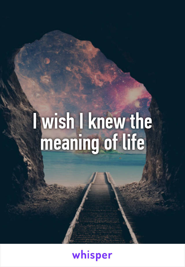 I wish I knew the meaning of life