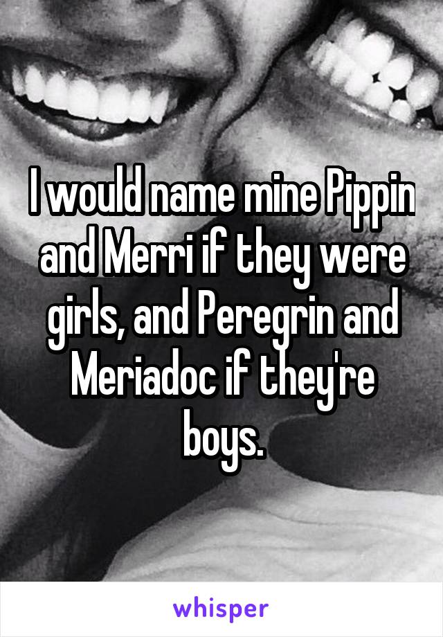 I would name mine Pippin and Merri if they were girls, and Peregrin and Meriadoc if they're boys.