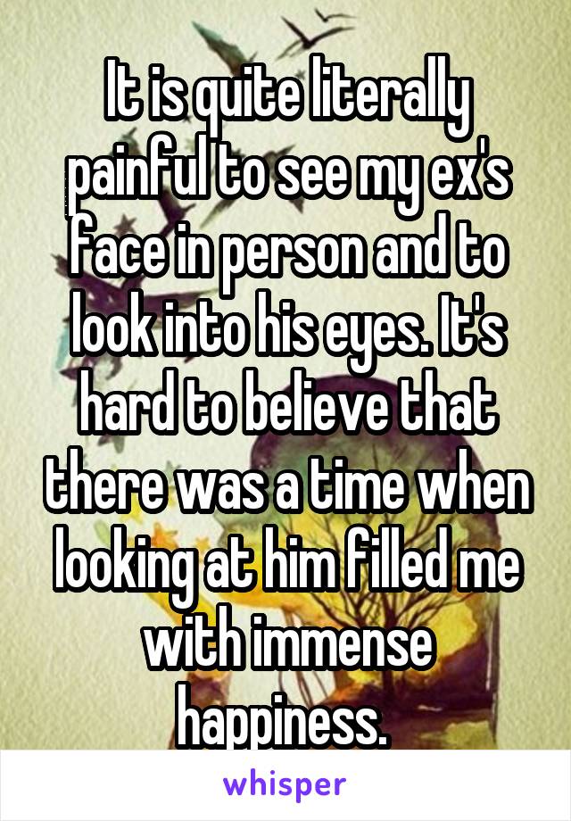 It is quite literally painful to see my ex's face in person and to look into his eyes. It's hard to believe that there was a time when looking at him filled me with immense happiness. 