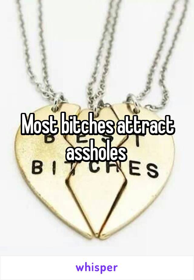 Most bitches attract assholes 