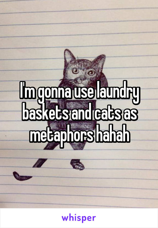 I'm gonna use laundry baskets and cats as metaphors hahah