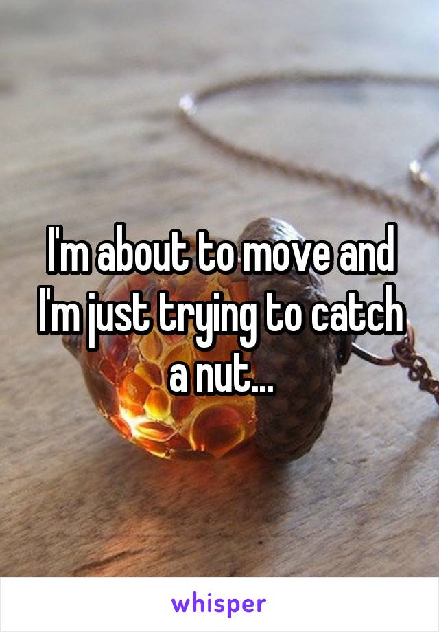 I'm about to move and I'm just trying to catch a nut...