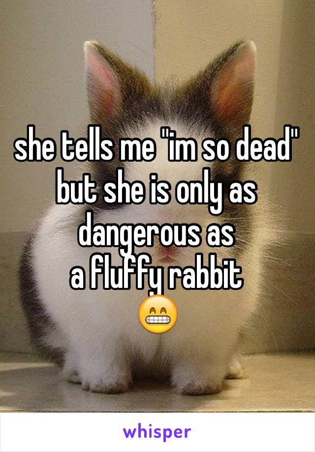 she tells me "im so dead"
but she is only as dangerous as 
a fluffy rabbit
😁