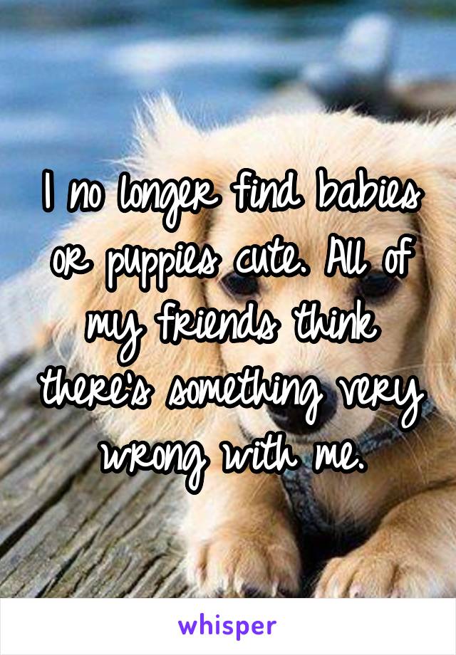 I no longer find babies or puppies cute. All of my friends think there's something very wrong with me.