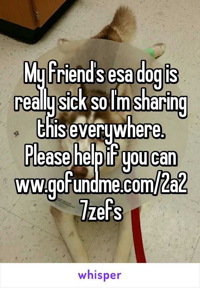 My friend's esa dog is really sick so I'm sharing this everywhere. Please help if you can
ww.gofundme.com/2a27zefs