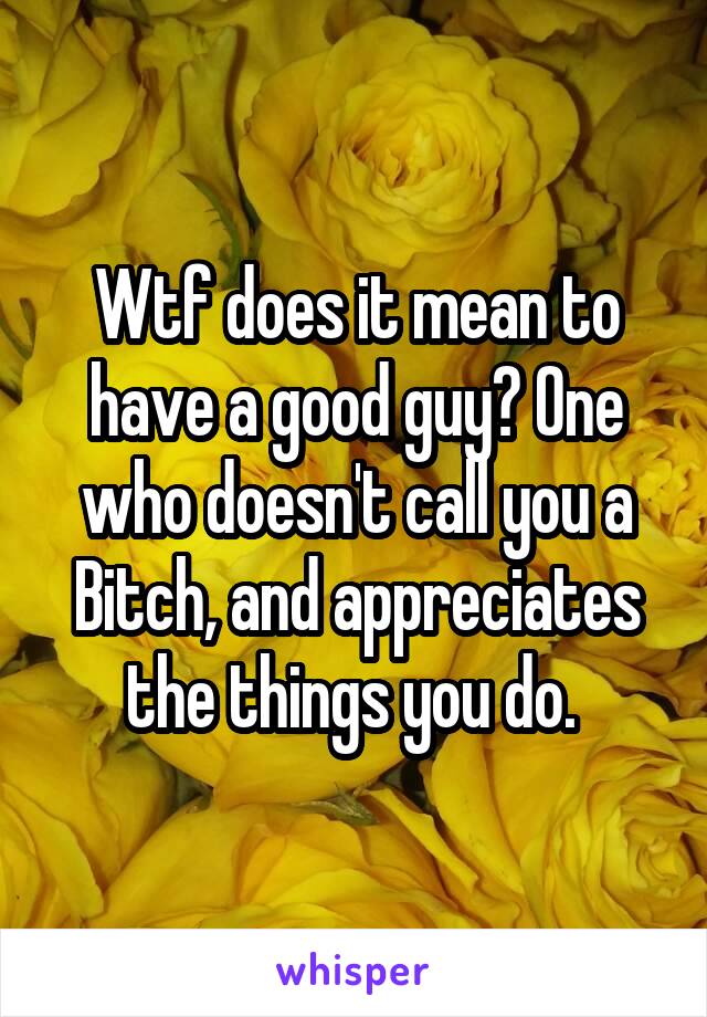 Wtf does it mean to have a good guy? One who doesn't call you a Bitch, and appreciates the things you do. 