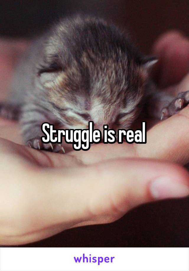 Struggle is real 