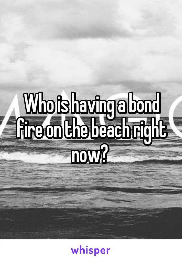 Who is having a bond fire on the beach right now? 