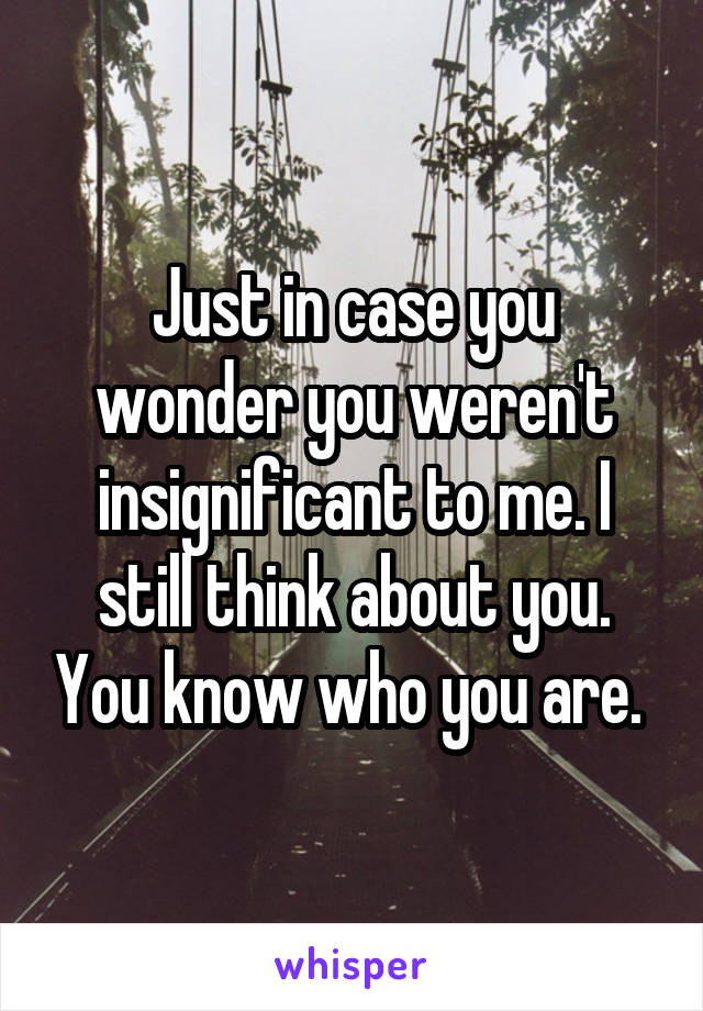 Just in case you wonder you weren't insignificant to me. I still think about you. You know who you are. 