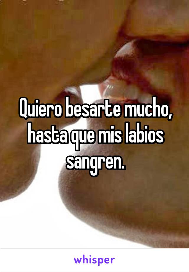 Quiero besarte mucho, hasta que mis labios sangren.