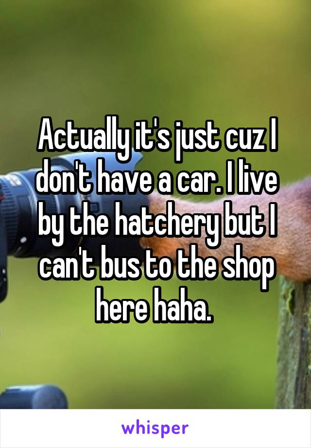 Actually it's just cuz I don't have a car. I live by the hatchery but I can't bus to the shop here haha. 